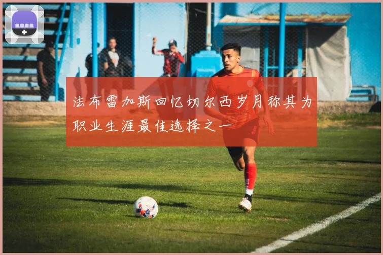 法布雷加斯回忆切尔西岁月称其为职业生涯最佳选择之一
