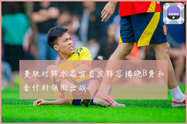 曼联对阵水晶宫首发阵容揭晓B费和舍什科领衔出战