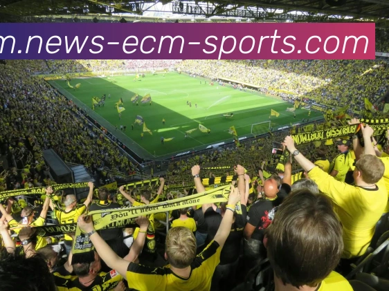 易倍体育APP 封面图