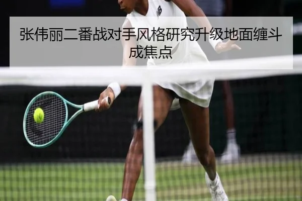 张伟丽二番战对手风格研究升级地面缠斗成焦点 | EMCSPORTS